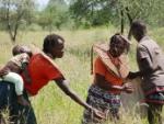 Pokots harvesting grass seed comp