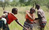 Pokot women harvesting grass seed